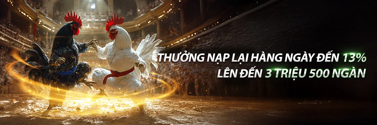 Hình ảnh chính ứng dụng best88
